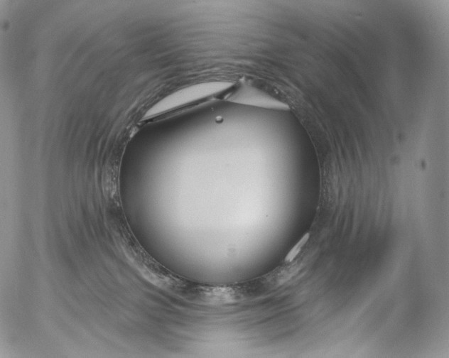 X0000053120091200508012203