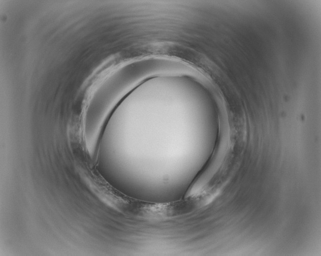 X0000053120092200508012203