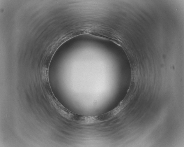 X0000053120093200508012203