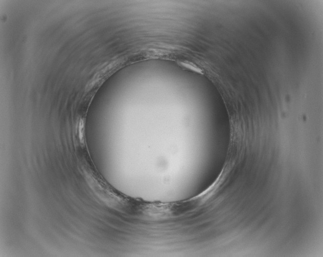 X0000053120094200508012203