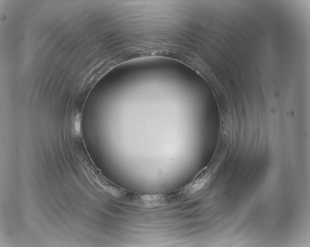 X0000053120095200508012203