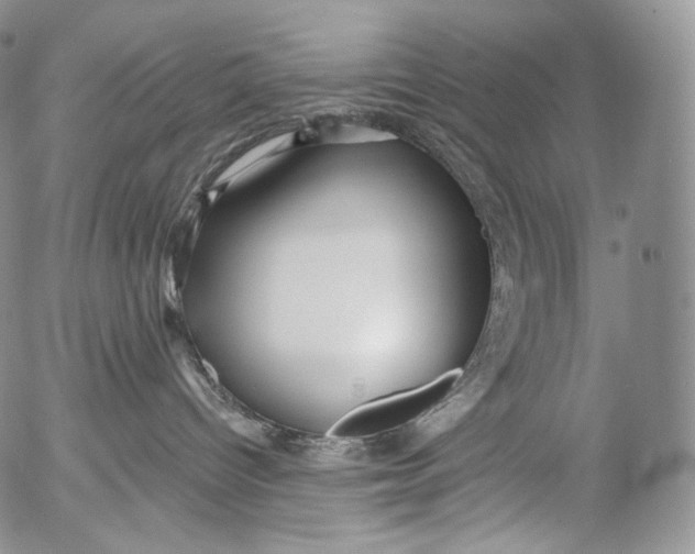 X0000053120096200508012203