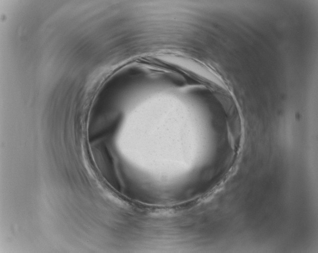 X0000053120097200508012202