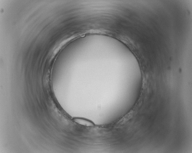 X0000053120098200508012202