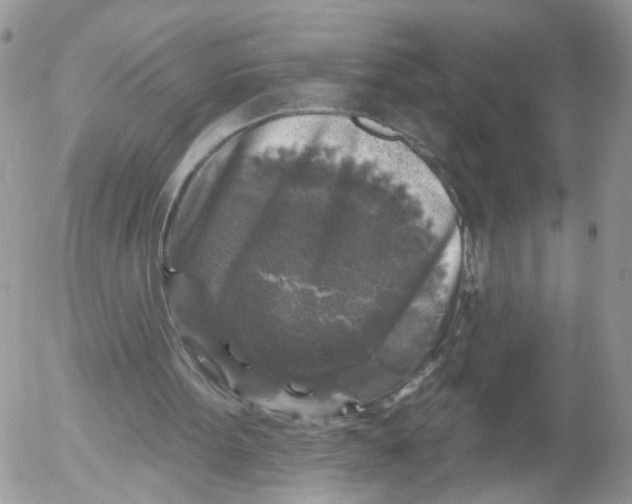 X0000053120099200508012202