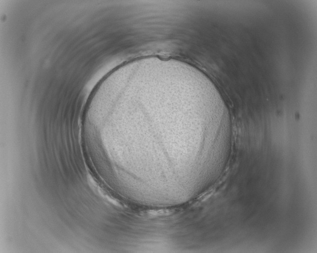 X0000053120100200508012202