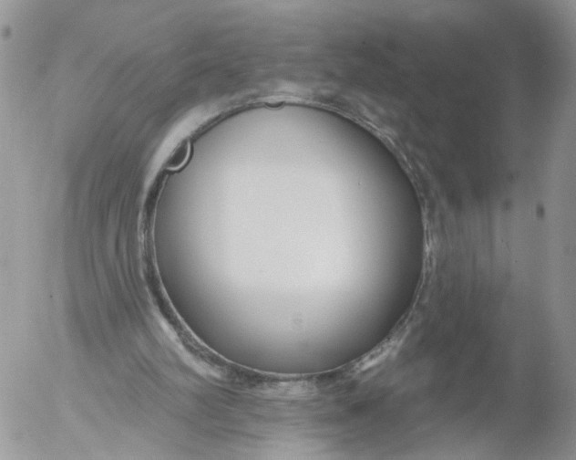 X0000053120102200508012202