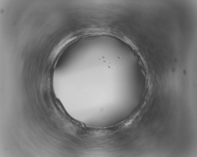 X0000053120103200508012202