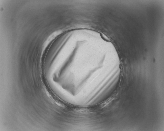 X0000053120104200508012202