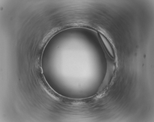 X0000053120105200508012202