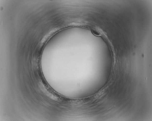 X0000053120106200508012202