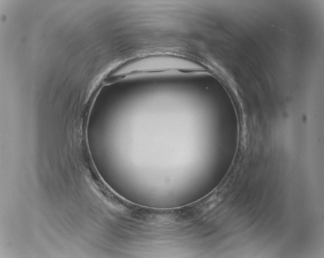 X0000053120107200508012202