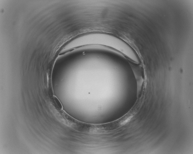 X0000053120109200508012202