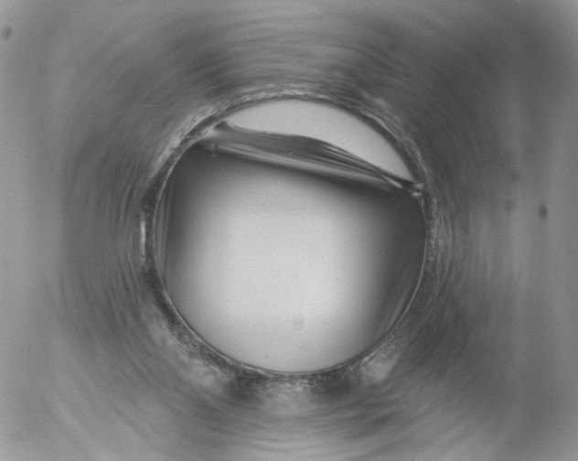 X0000053120110200508012202