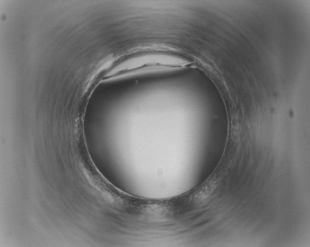 X0000053120111200508012202