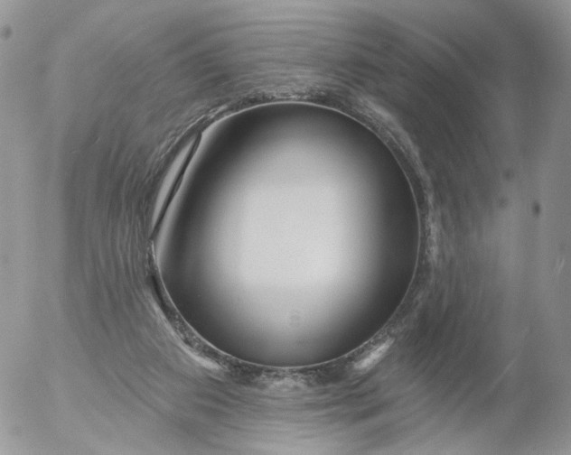 X0000053120113200508012202