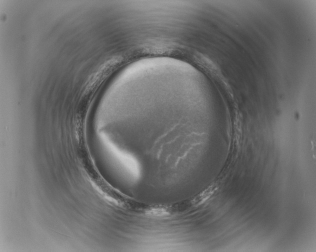 X0000053120114200508012202