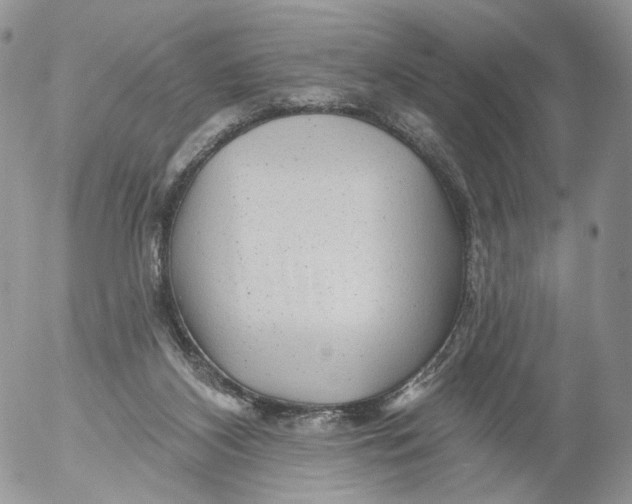 X0000053120116200508012201