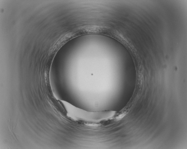 X0000053120117200508012201