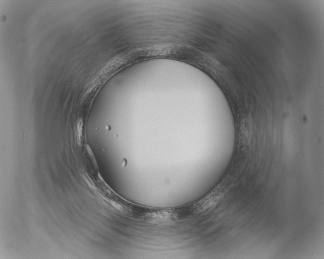 X0000053120118200508012201