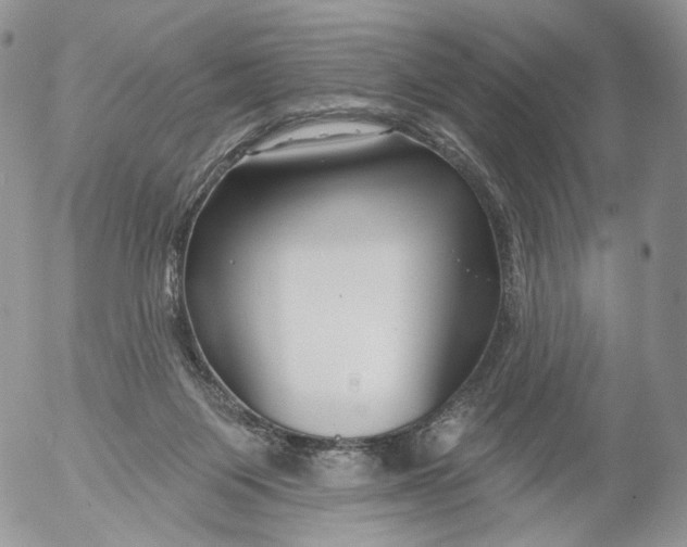 X0000053120119200508012201