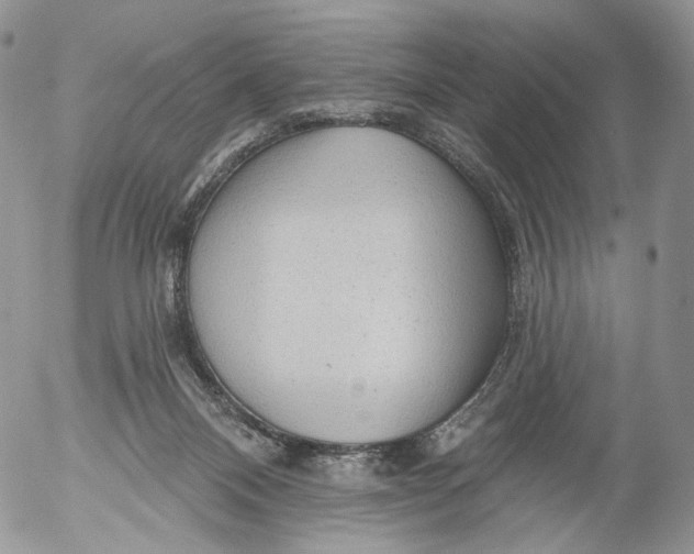 X0000053120120200508012201