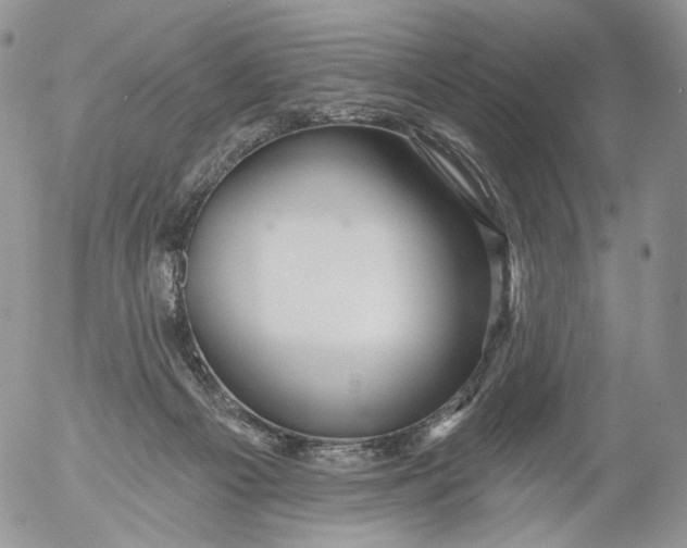 X0000053120121200508012201