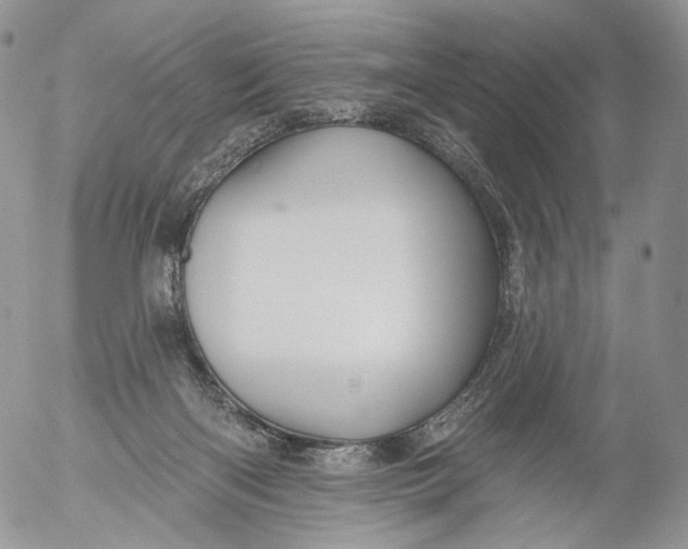 X0000053120122200508012201