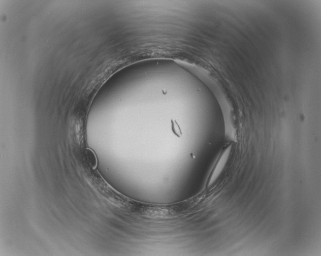 X0000053120123200508012201