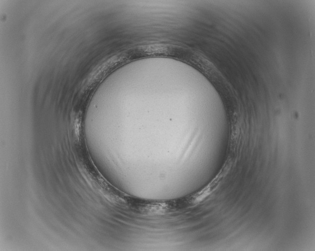 X0000053120124200508012201