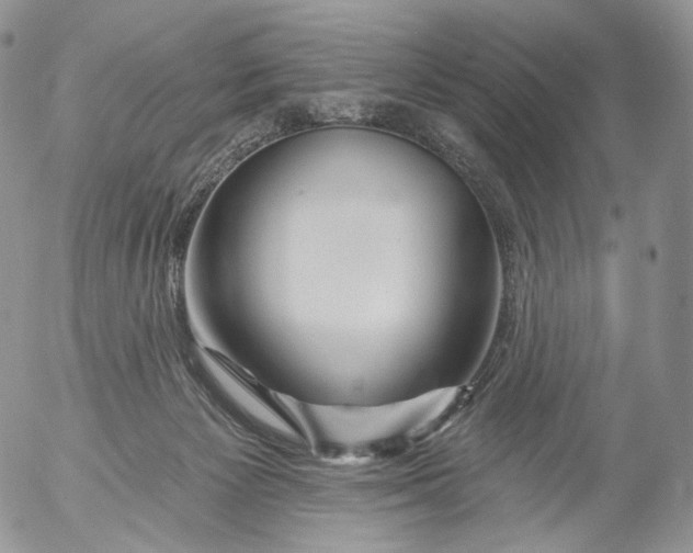 X0000053120125200508012201