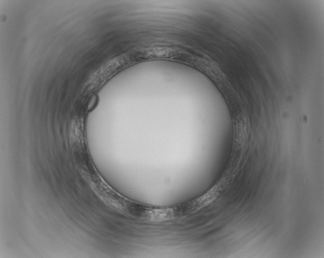 X0000053120126200508012201