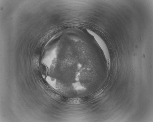 X0000053120127200508012201