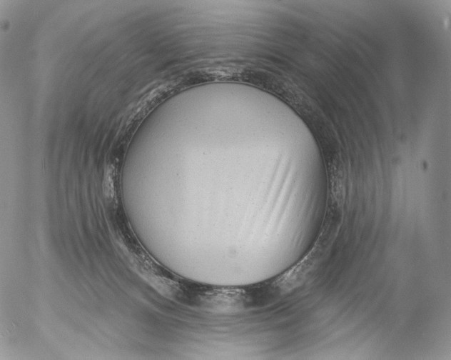 X0000053120128200508012201