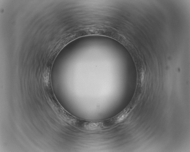 X0000053120129200508012201