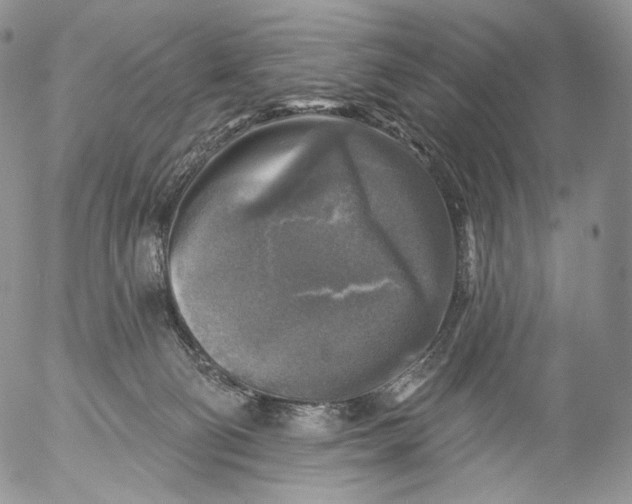 X0000053120130200508012201