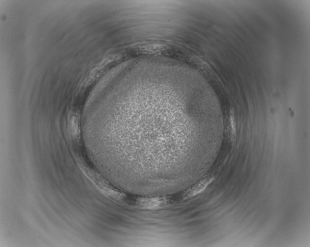 X0000053120131200508012201