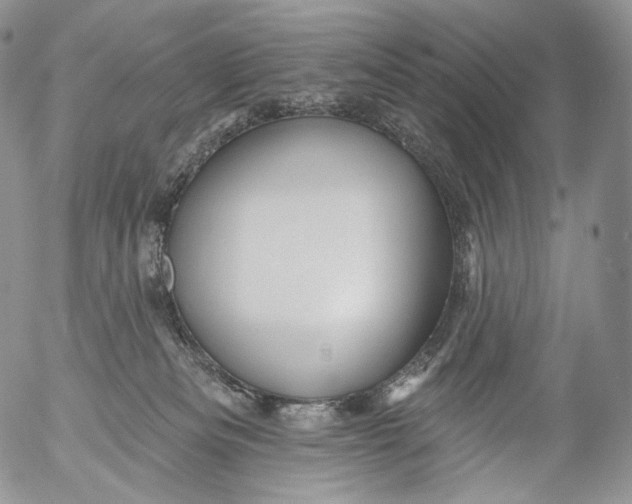 X0000053120133200508012201