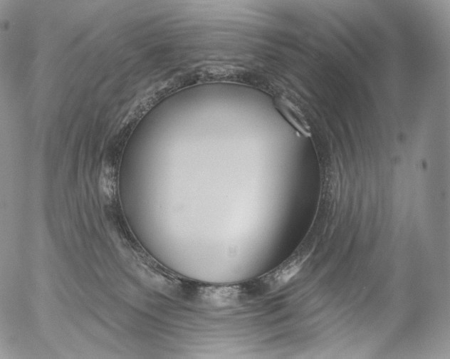 X0000053120135200508012201