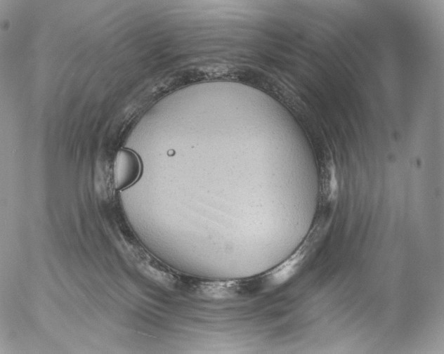 X0000053120136200508012201