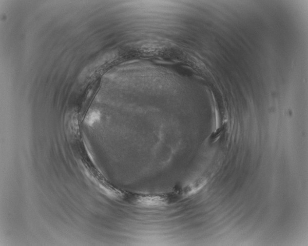 X0000053120137200508012201