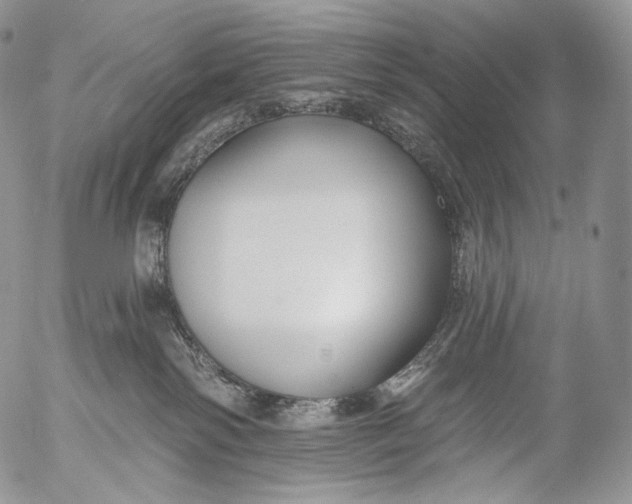 X0000053120138200508012201