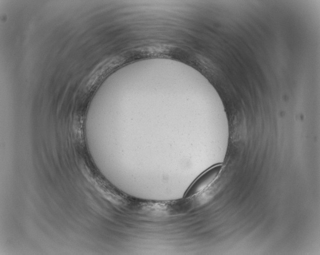 X0000053120140200508012201