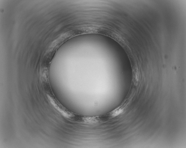 X0000053120141200508012201