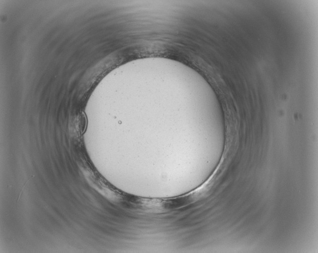 X0000053120144200508012201