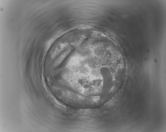 X0000053120145200508012200