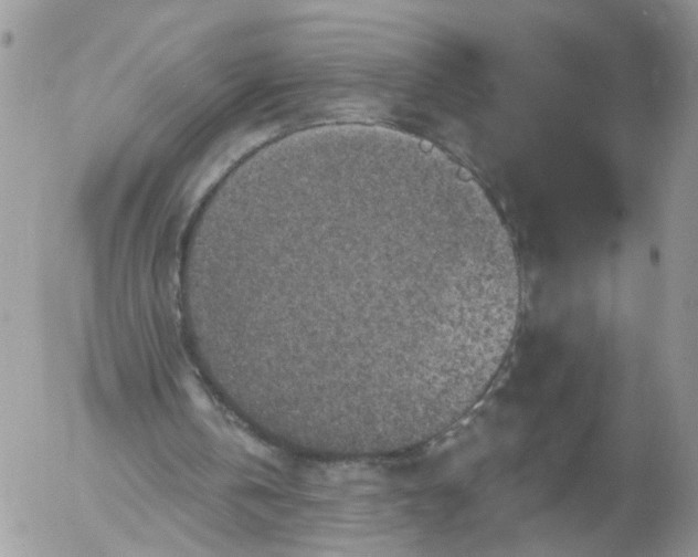 X0000053120146200508012200