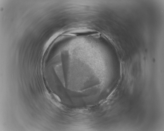 X0000053120147200508012200