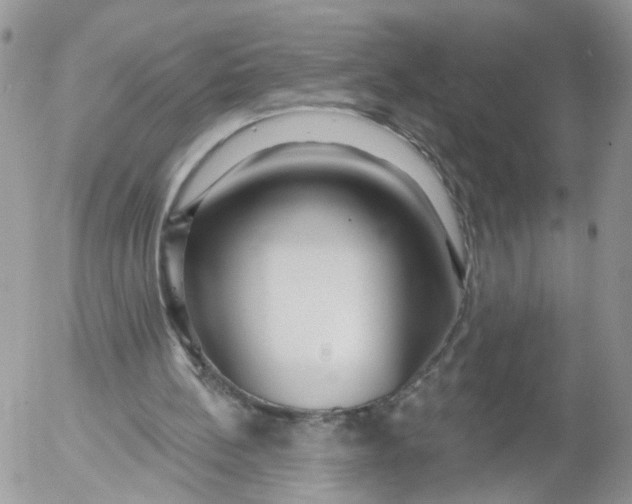 X0000053120148200508012200