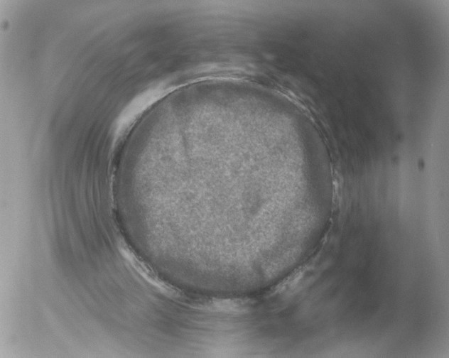 X0000053120149200508012200